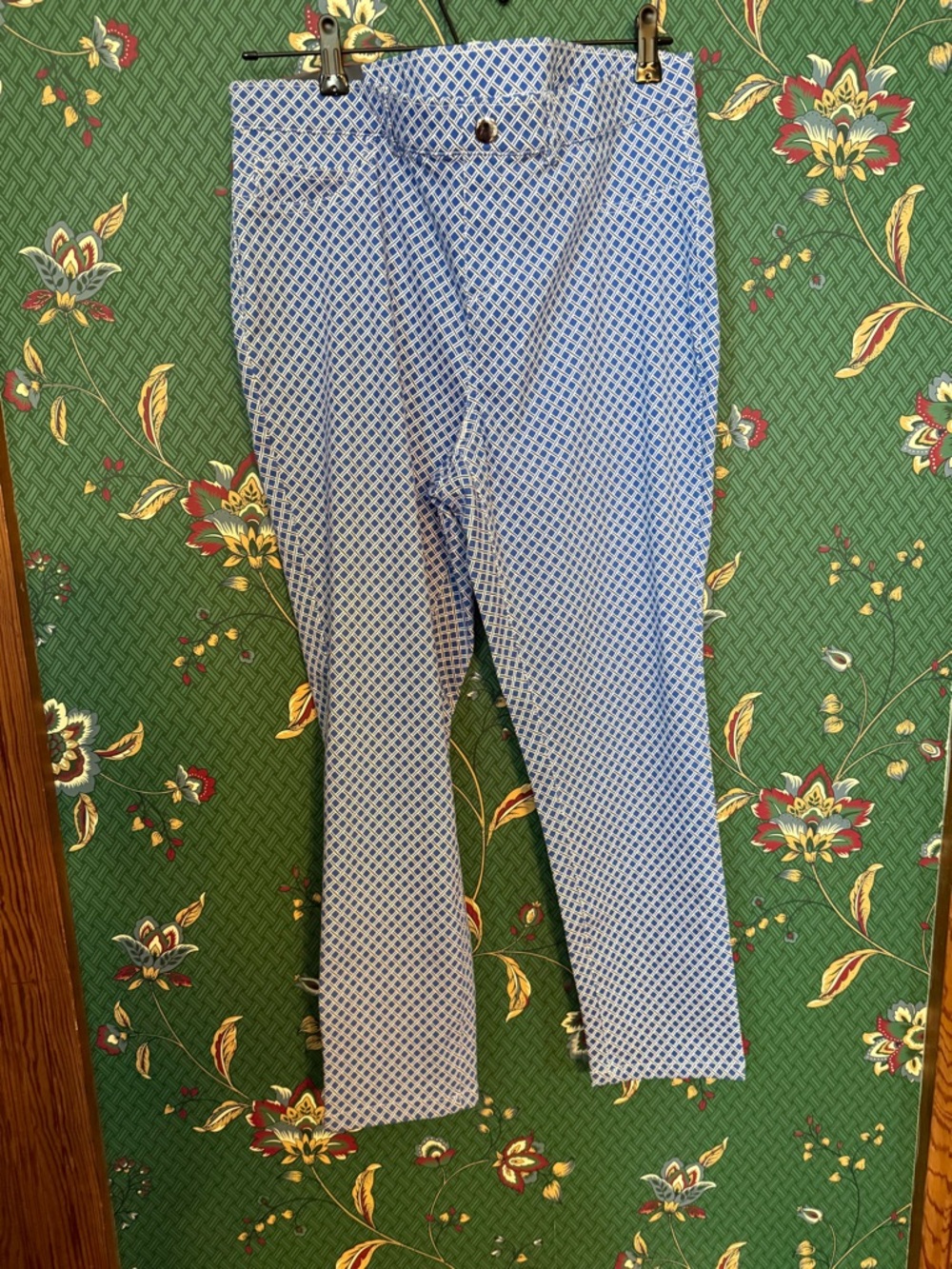 Women’s Rafaella Blue Geo Print Slim Ankle Pants